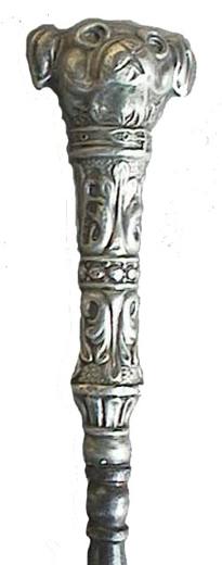 Dog sterling 5in trnsp